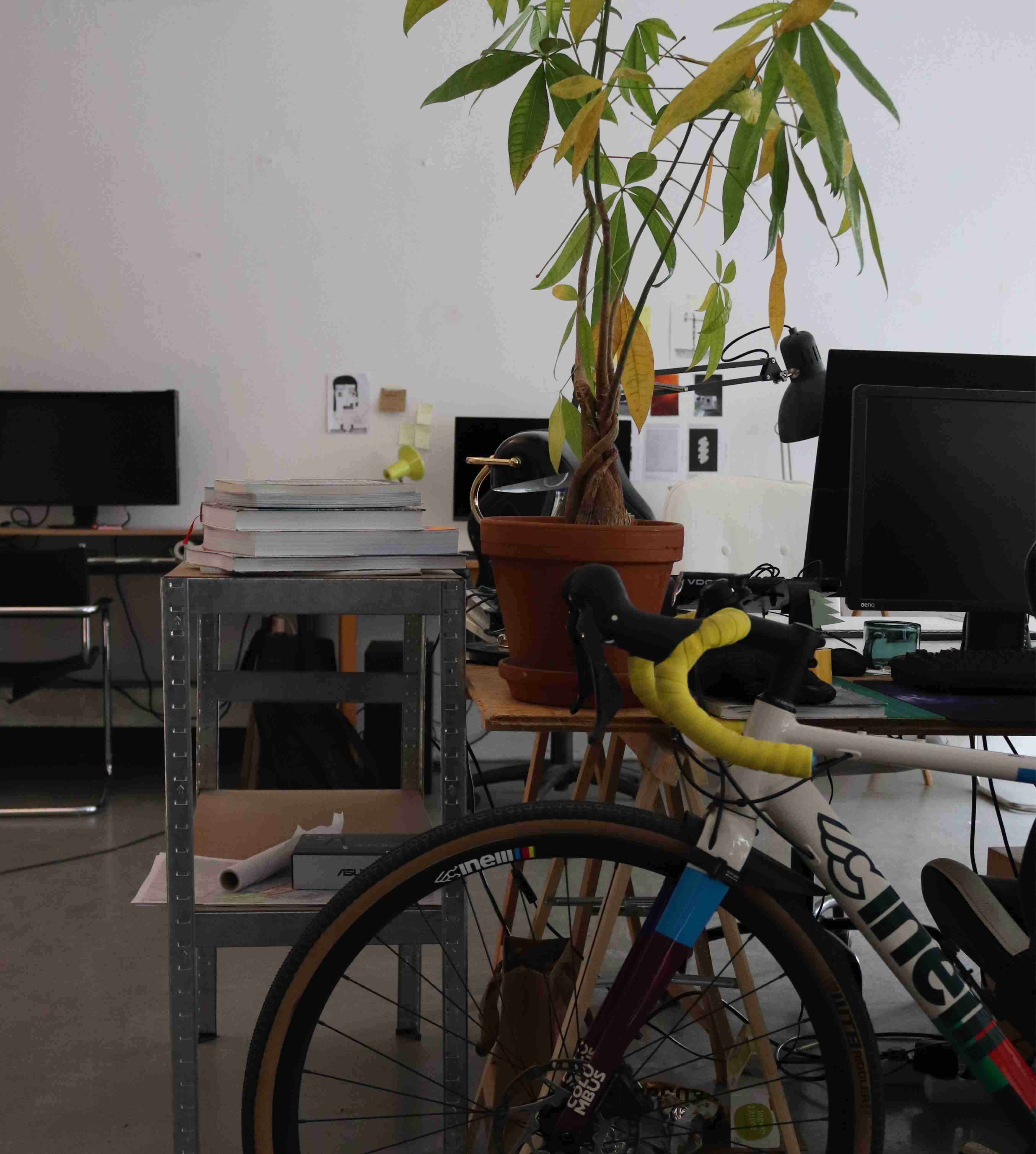 Studio mit Rennrad und Pflanze